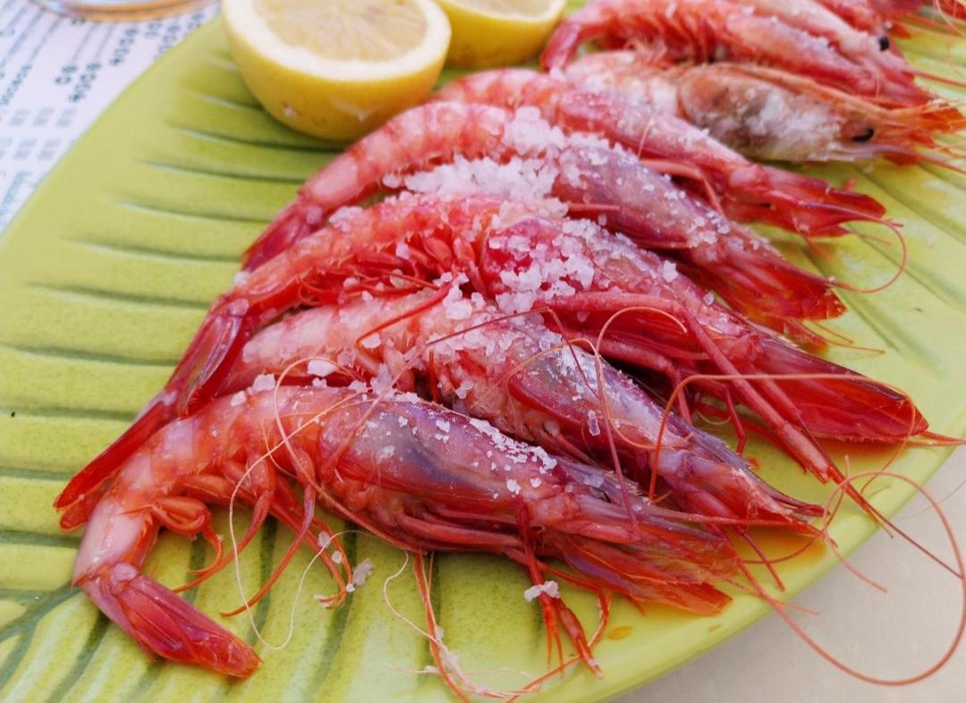 S&H La Malcriada San Juan de los Terreros Exterior foto